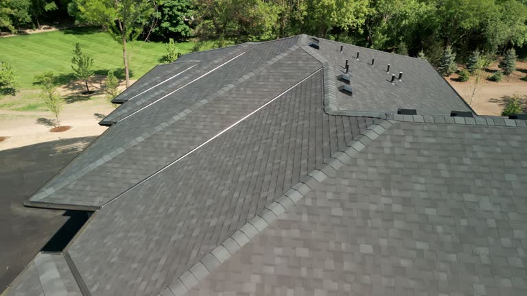 Best Roof Moss and Algae Removal  in Pelahatchie, MS